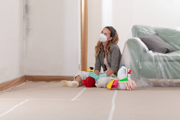 Reliable Mold Remediation contractor in East Islip, NY by WQB Mold Removal